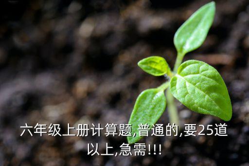 六年級(jí)上冊(cè)計(jì)算題,普通的,要25道以上,急需!!!