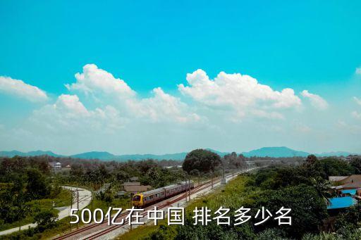 500億在中國(guó) 排名多少名