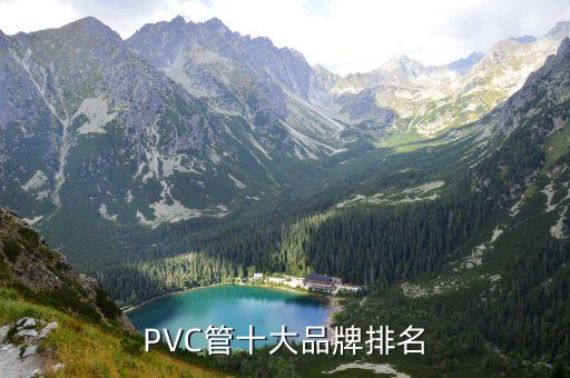 PVC管十大品牌排名