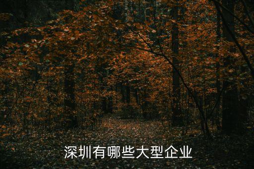 深圳正通電子設(shè)備服務(wù)有限公司,深圳天和時代電子設(shè)備有限公司