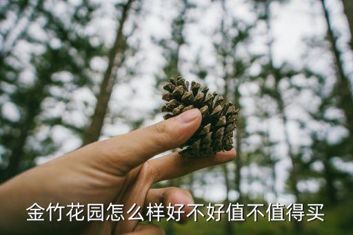 金竹花園怎么樣好不好值不值得買(mǎi)