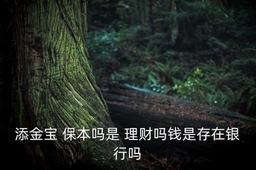 添金寶 保本嗎是 理財(cái)嗎錢是存在銀行嗎