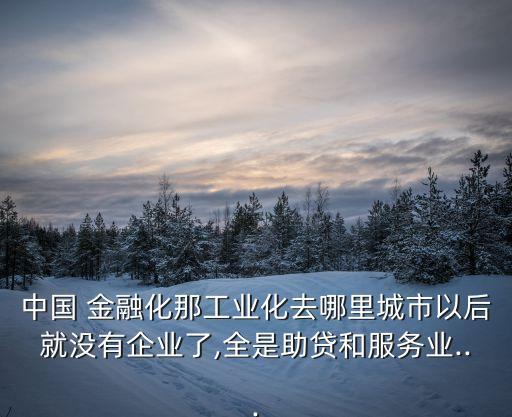 中國 金融化那工業(yè)化去哪里城市以后就沒有企業(yè)了,全是助貸和服務(wù)業(yè)...