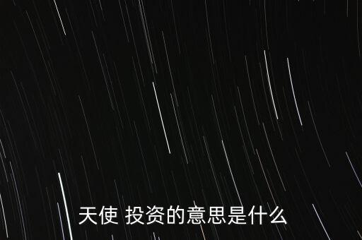  天使 投資的意思是什么