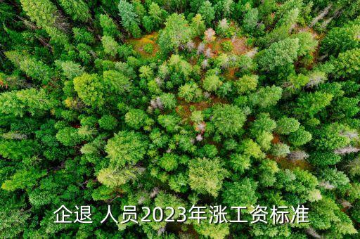  企退 人員2023年漲工資標(biāo)準(zhǔn)