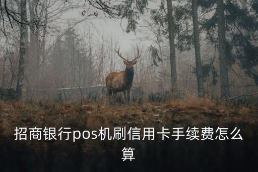 招商銀行pos機(jī)刷信用卡手續(xù)費怎么算