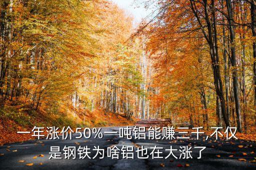 一年漲價(jià)50%一噸鋁能賺三千,不僅是鋼鐵為啥鋁也在大漲了