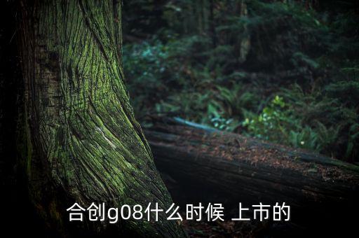 合創(chuàng)g08什么時(shí)候 上市的