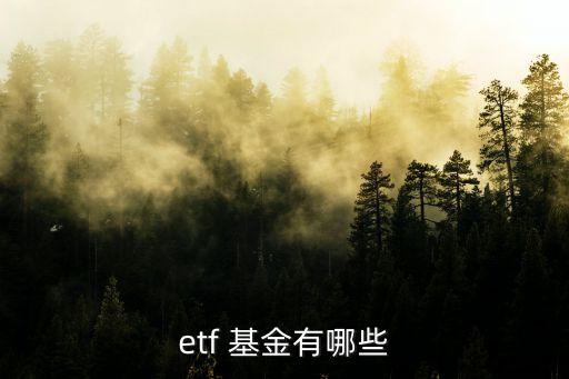 etf 基金有哪些