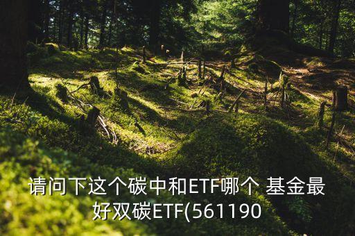 請(qǐng)問下這個(gè)碳中和ETF哪個(gè) 基金最好雙碳ETF(561190