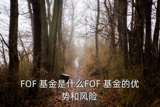 FOF 基金是什么FOF 基金的優(yōu)勢(shì)和風(fēng)險(xiǎn)