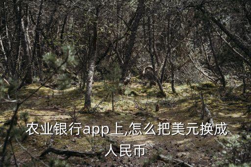  農業(yè)銀行app上,怎么把美元換成人民幣