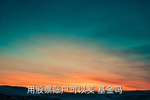 證券公司購(gòu)買(mǎi)基金