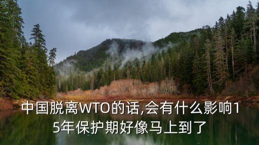 中國(guó)脫離WTO的話,會(huì)有什么影響15年保護(hù)期好像馬上到了