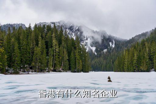 國(guó)太投資控股上海有限公司