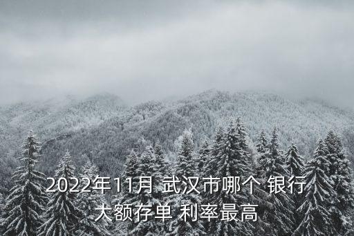 2022年11月 武漢市哪個(gè) 銀行大額存單 利率最高