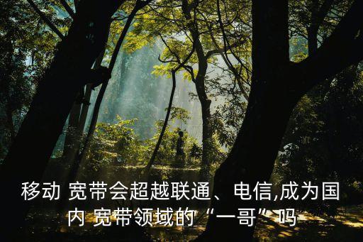 移動(dòng) 寬帶會(huì)超越聯(lián)通、電信,成為國內(nèi) 寬帶領(lǐng)域的“一哥”嗎