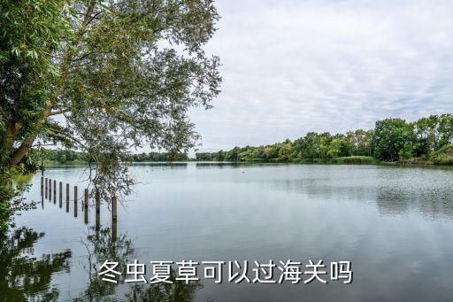 冬蟲(chóng)夏草可以過(guò)海關(guān)嗎