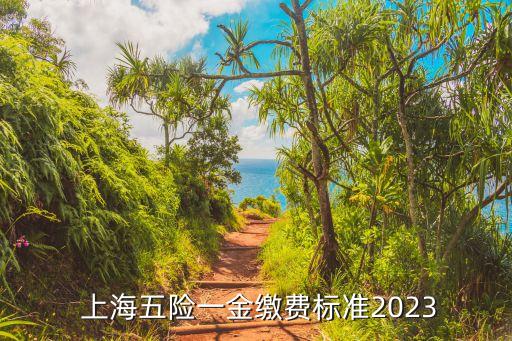  上海五險一金繳費標(biāo)準(zhǔn)2023