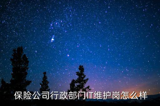  保險(xiǎn)公司行政部門IT維護(hù)崗怎么樣