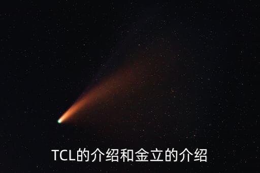 tcl醫(yī)療集團簡介,TCL中環(huán)集團簡介