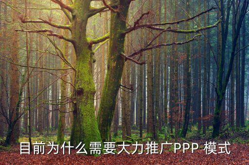 目前為什么需要大力推廣PPP 模式