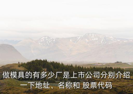 做模具的有多少廠是上市公司分別介紹一下地址、名稱和 股票代碼