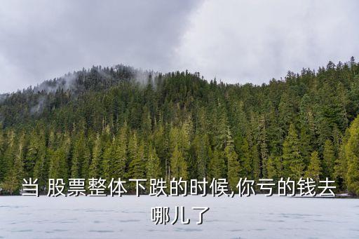 股票虧損的錢(qián)去哪了