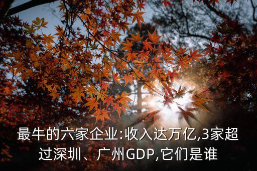 最牛的六家企業(yè):收入達(dá)萬億,3家超過深圳、廣州GDP,它們是誰