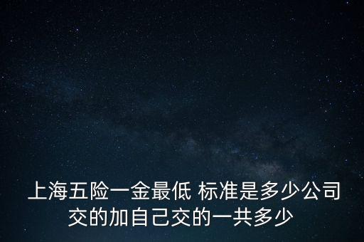  上海五險一金最低 標(biāo)準(zhǔn)是多少公司交的加自己交的一共多少