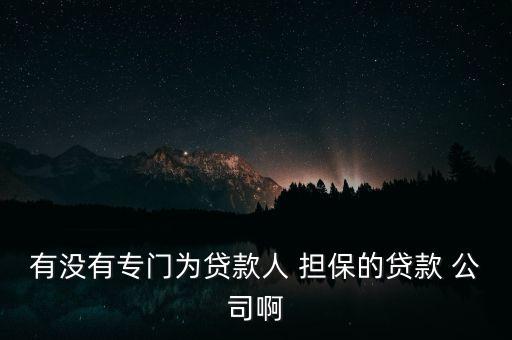 有沒(méi)有專門(mén)為貸款人 擔(dān)保的貸款 公司啊