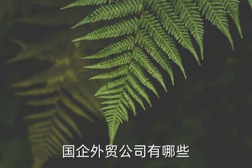 國企外貿(mào)公司有哪些