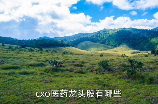 cxo醫(yī)藥龍頭股有哪些