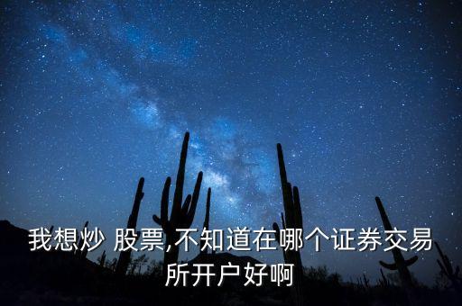 我想炒 股票,不知道在哪個(gè)證券交易所開(kāi)戶好啊