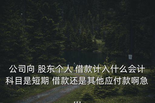 公司向 股東個人 借款計入什么會計科目是短期 借款還是其他應付款啊急...