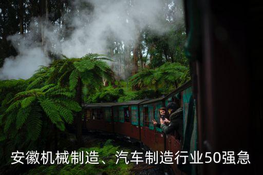 安徽機(jī)械制造、汽車制造行業(yè)50強(qiáng)急