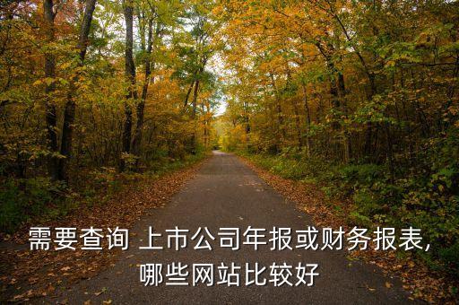 需要查詢 上市公司年報或財務報表,哪些網(wǎng)站比較好