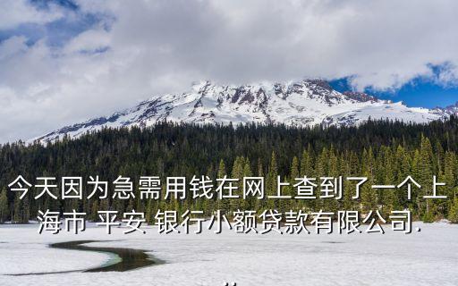 今天因?yàn)榧毙栌缅X在網(wǎng)上查到了一個(gè)上海市 平安 銀行小額貸款有限公司...