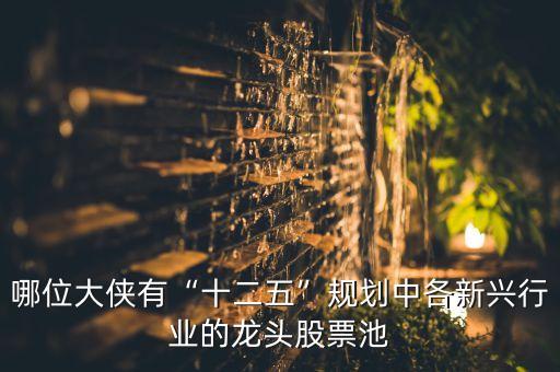 哪位大俠有“十二五”規(guī)劃中各新興行業(yè)的龍頭股票池