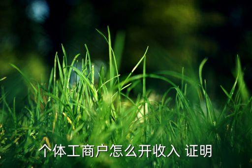 怎么證明公司營(yíng)業(yè)額,營(yíng)業(yè)額證明提供哪些材料