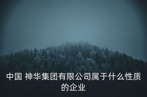 中國 神華集團有限公司屬于什么性質(zhì)的企業(yè)