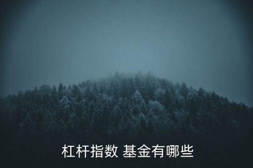 杠桿基金一手多少份