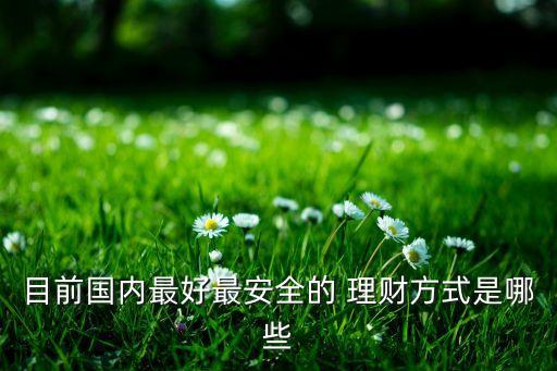 目前國(guó)內(nèi)最好最安全的 理財(cái)方式是哪些