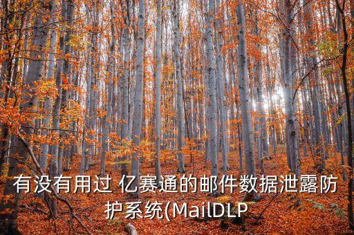 有沒有用過 億賽通的郵件數(shù)據(jù)泄露防護(hù)系統(tǒng)(MailDLP