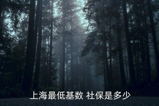  上海最低基數(shù) 社保是多少