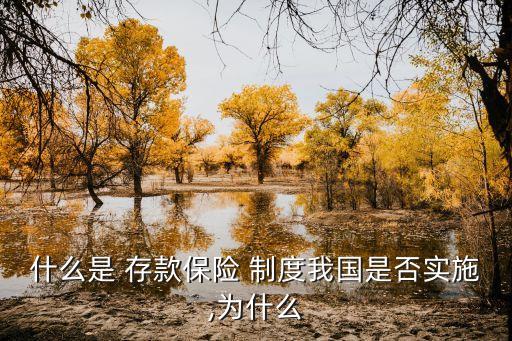 什么是 存款保險(xiǎn) 制度我國(guó)是否實(shí)施,為什么