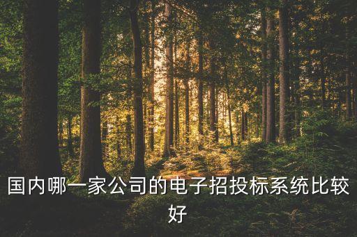 萬達(dá)集團(tuán)網(wǎng)上招標(biāo)管理系統(tǒng)