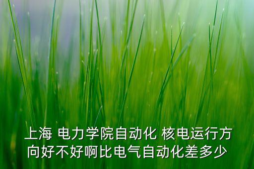  上海 電力學院自動化 核電運行方向好不好啊比電氣自動化差多少