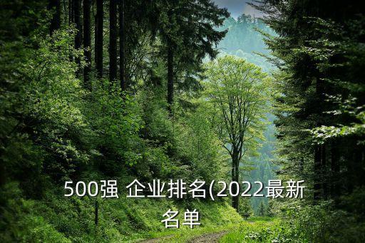  500強(qiáng) 企業(yè)排名(2022最新名單