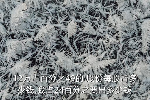 12萬占百分之49的 股份每股占多少錢,我占24百分之要出多少錢